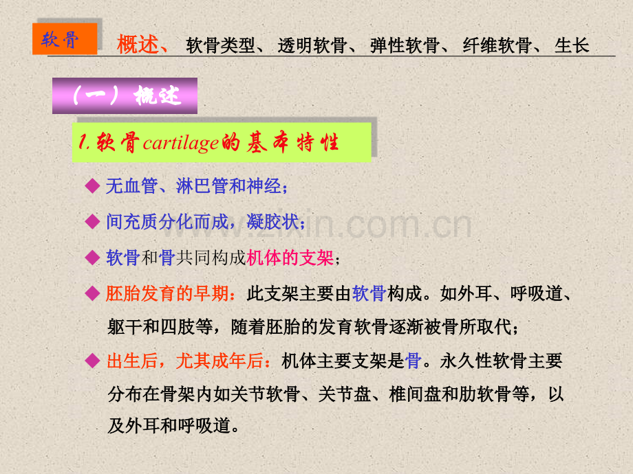七制软骨骨.pptx_第2页