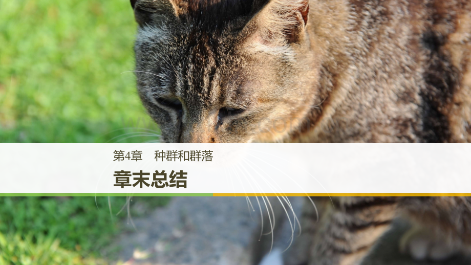 人教版生物必修三末总结.pptx_第1页