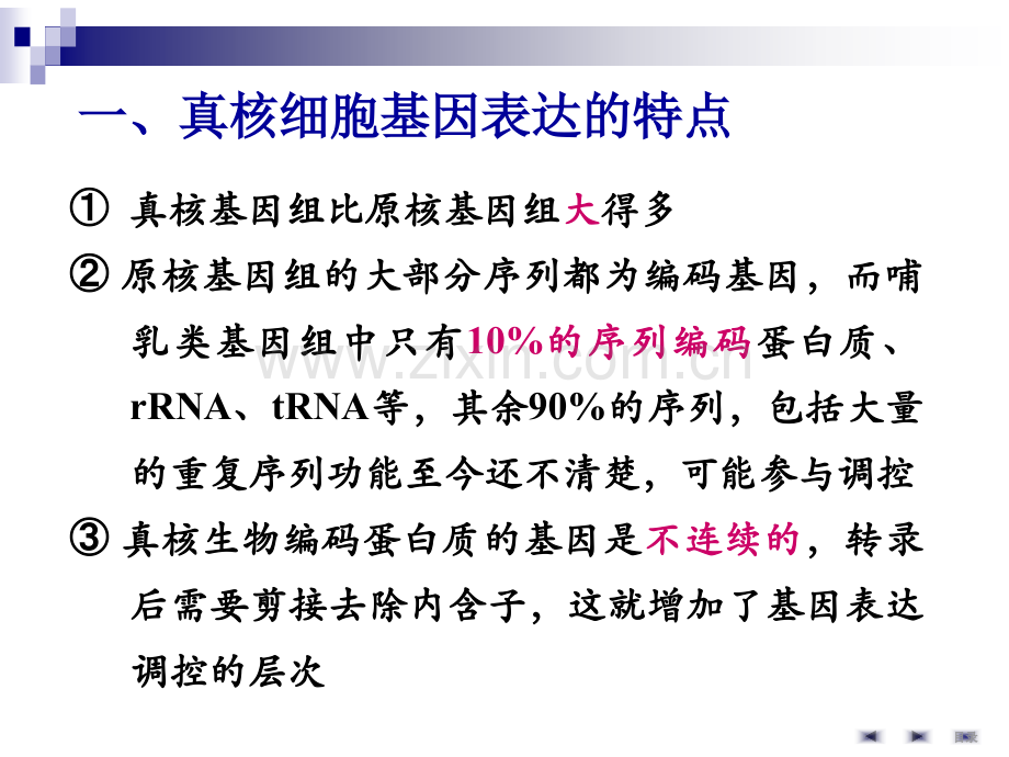 q基因表达调控.pptx_第2页