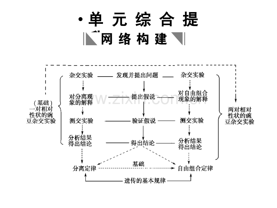 人教版2011高考生物一轮复习必修2遗传因子发现单元综合提升.pptx_第1页