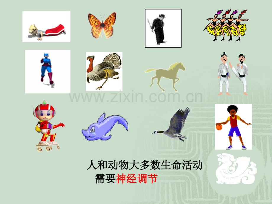 人教版教学云南省弥勒县庆来中学2011生物必修3-通过神经系统的调节3.pptx_第1页