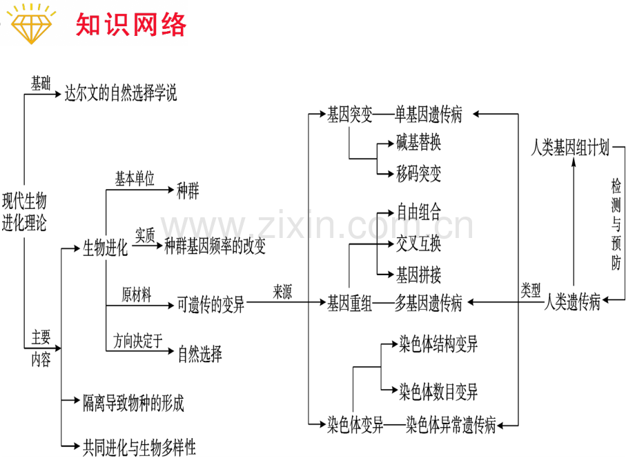 人教版浙江省建德市新安江高级中学高三生物生物变异与进化.pptx_第2页