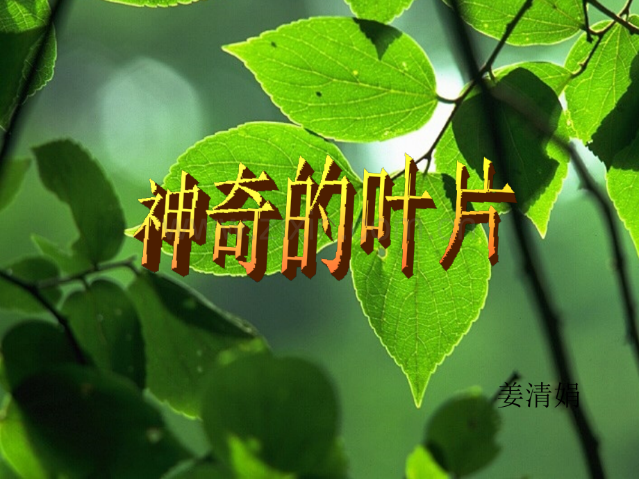 3神奇的叶片教学解析.pptx_第2页