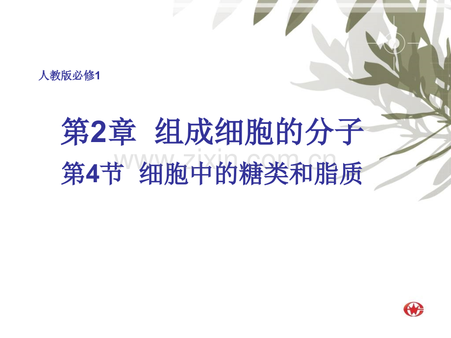 24细胞中的糖类和脂质2必修.pptx_第1页