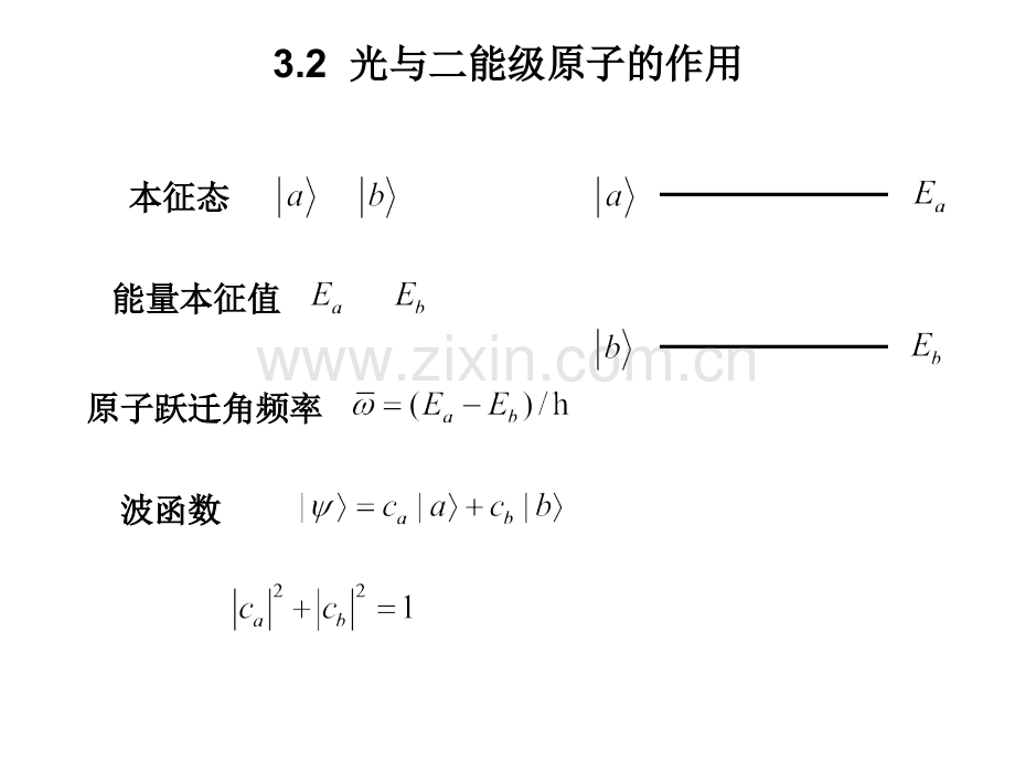 光学布洛赫方程.pptx_第2页