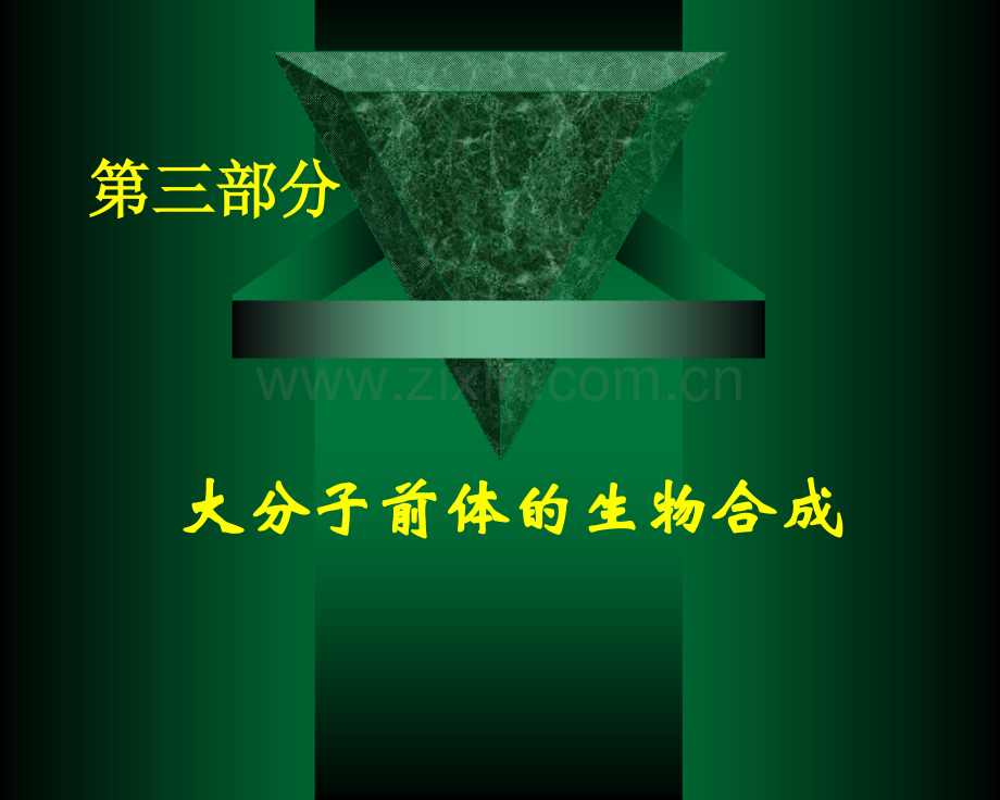 SL-12氨基酸的生物合成农.pptx_第1页