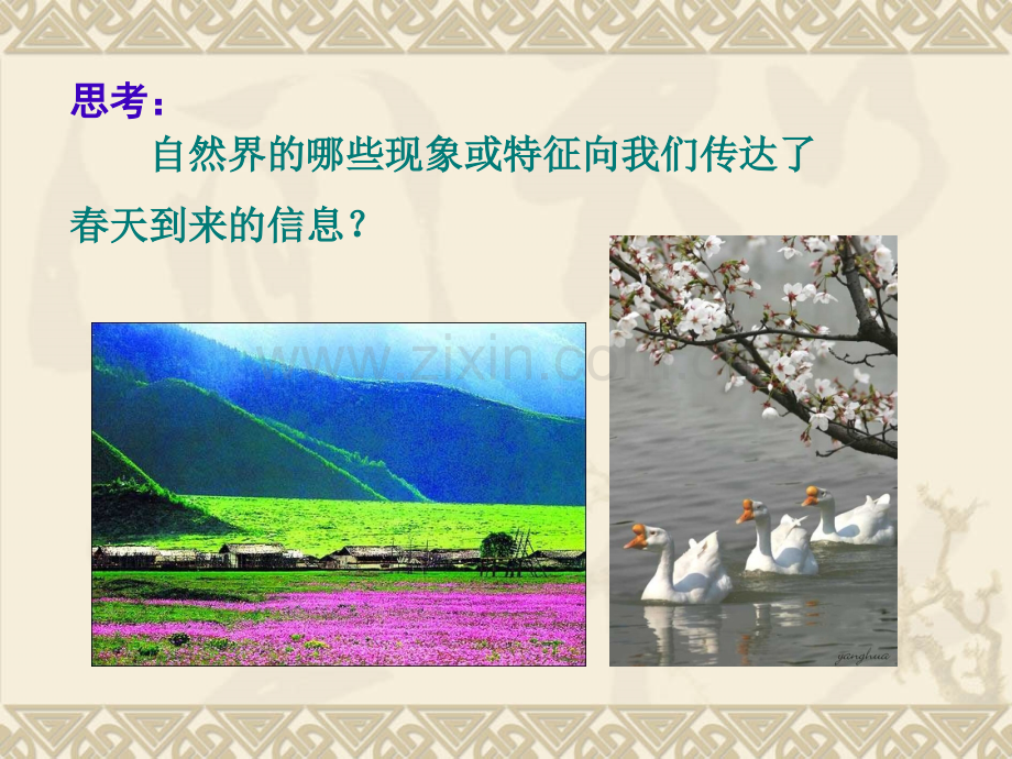七年级美术下册-活动一-感受春光-了解春天.pptx_第2页
