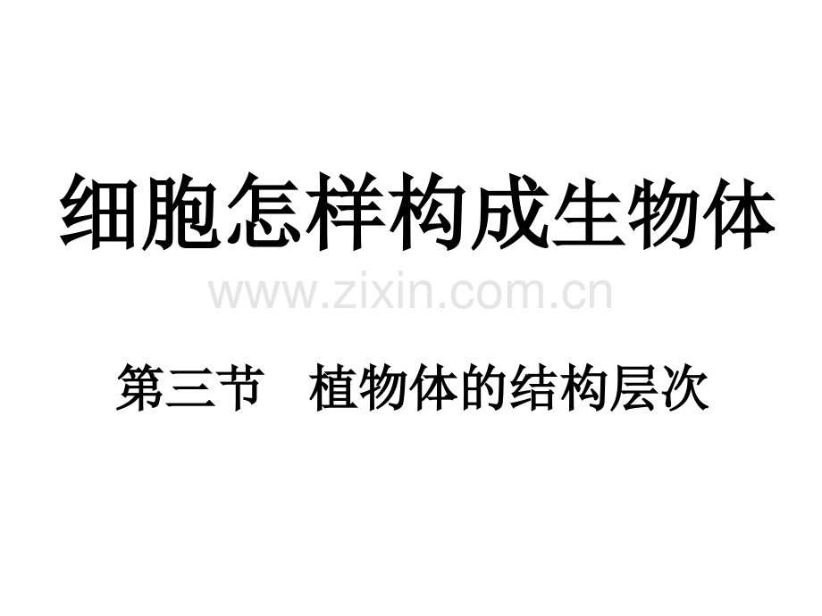 223植物体的结构层次1.pptx_第1页