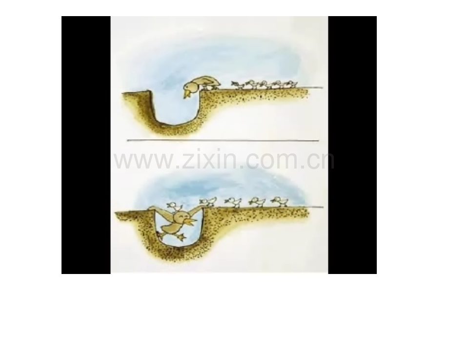 人教版感受亲情.pptx_第1页