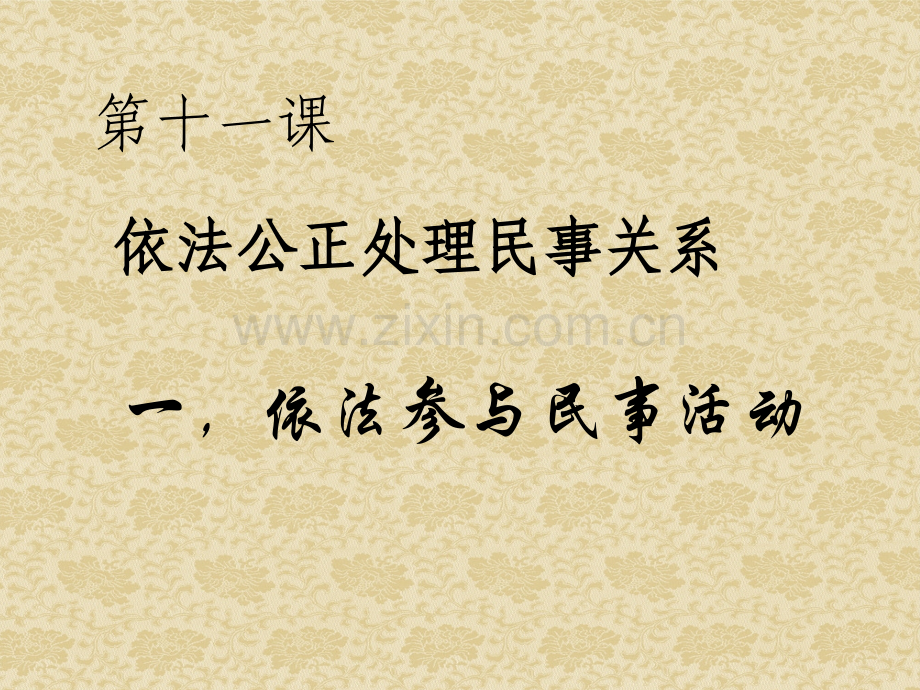 依法参与民事活动.pptx_第1页