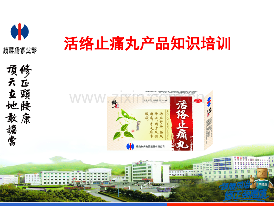 修正活络止痛丸产品知识.pptx_第1页