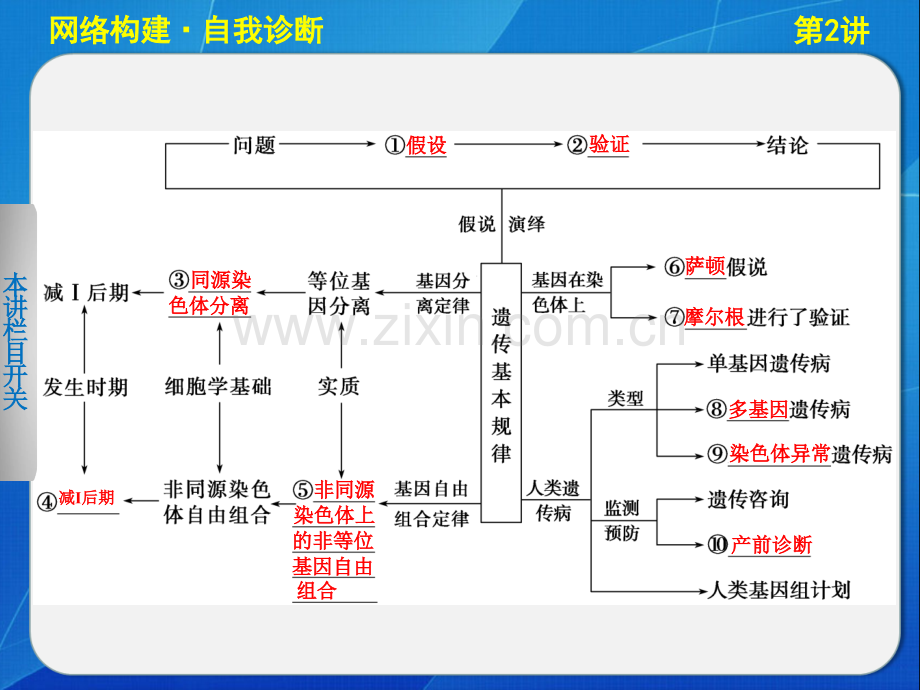 专题四遗传的基本规律和伴性遗传.pptx_第2页