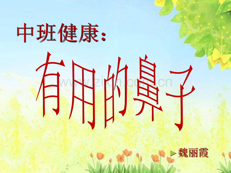 中班健康有用的鼻子.pptx_第1页