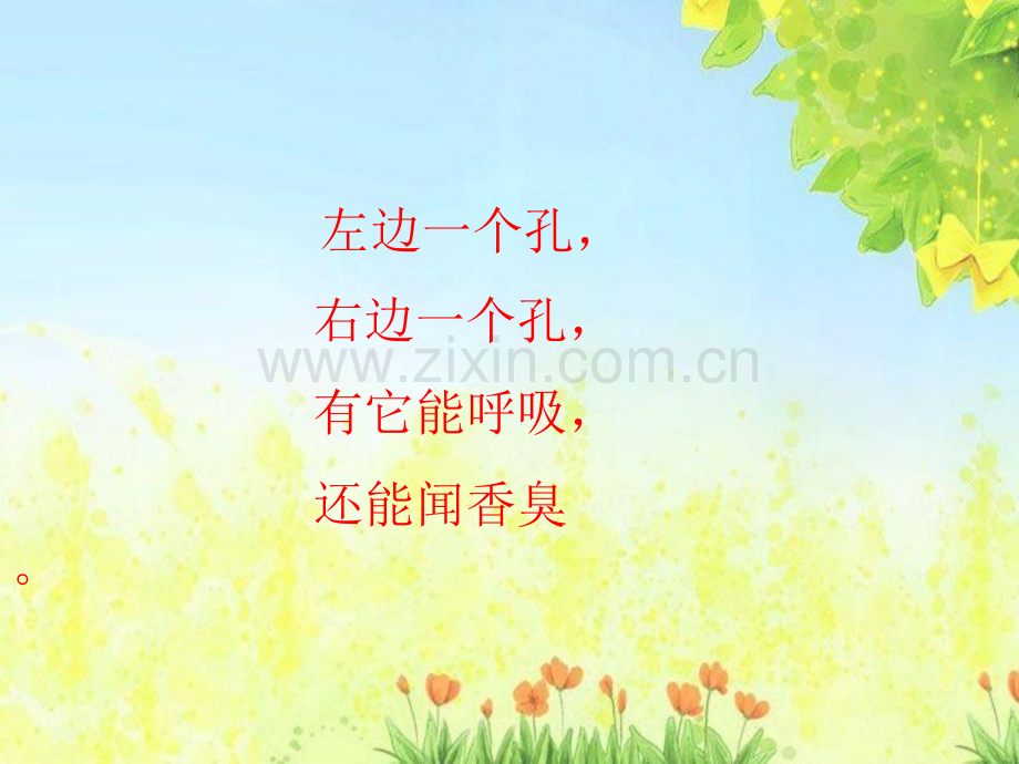 中班健康有用的鼻子.pptx_第2页