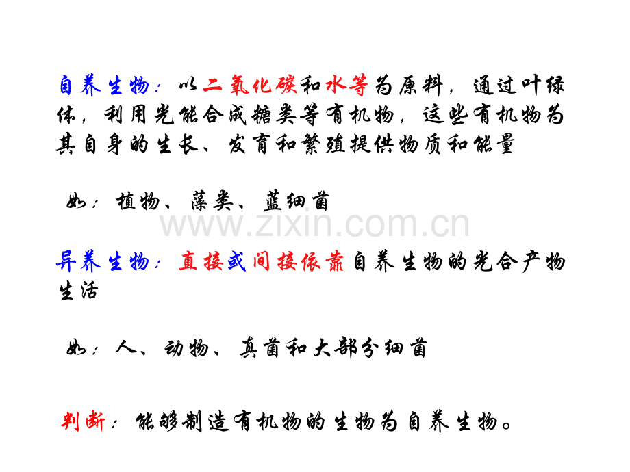 光合作用文科.pptx_第2页