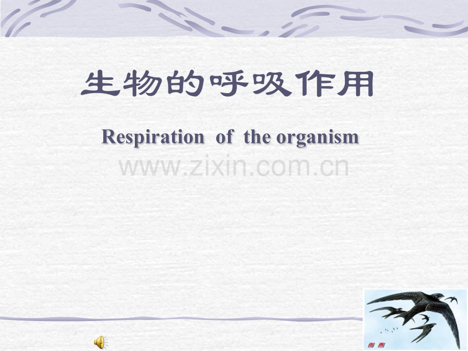 人教版教学生物的呼吸作用.pptx_第1页