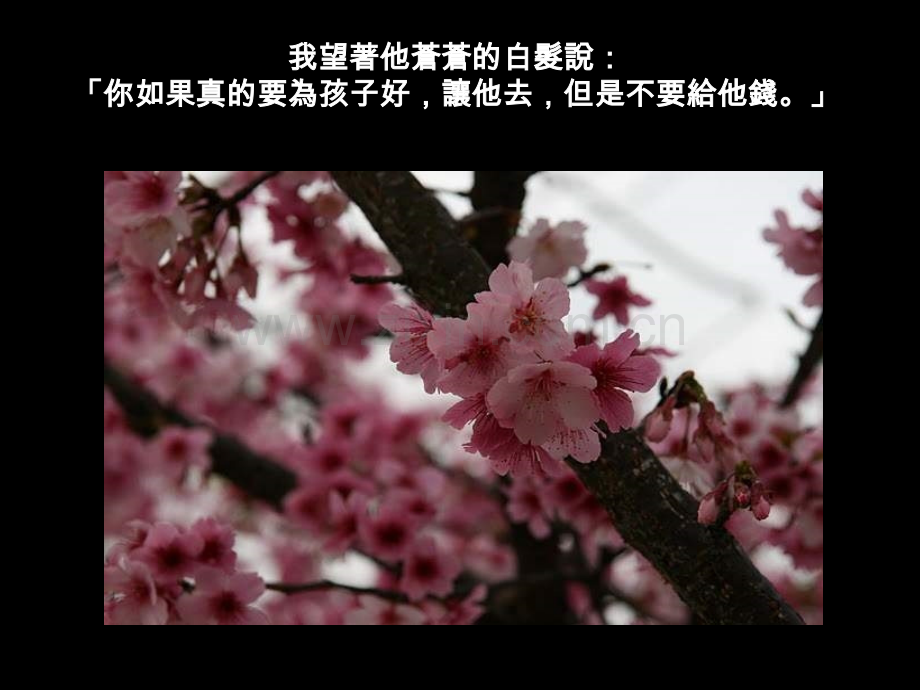 一生受用不尽的经验.pptx_第2页