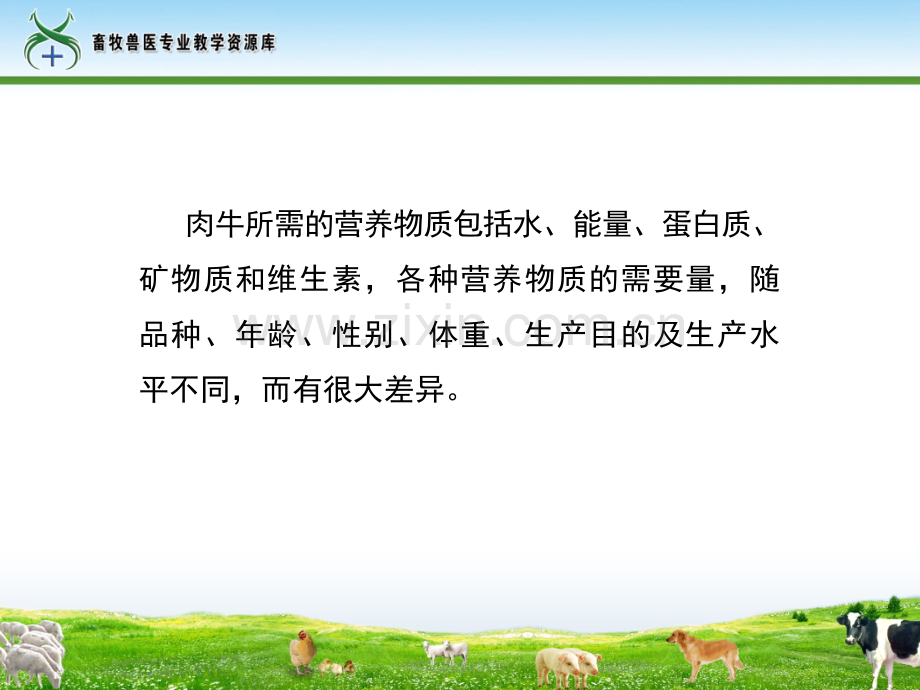 61肉牛的营养需要.pptx_第2页