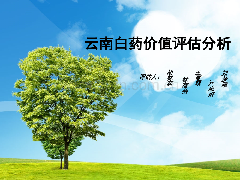 云南白药价值评估分析.pptx_第1页