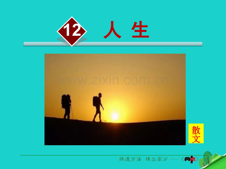 九年级语文下册人生新版新人教版.pptx_第1页