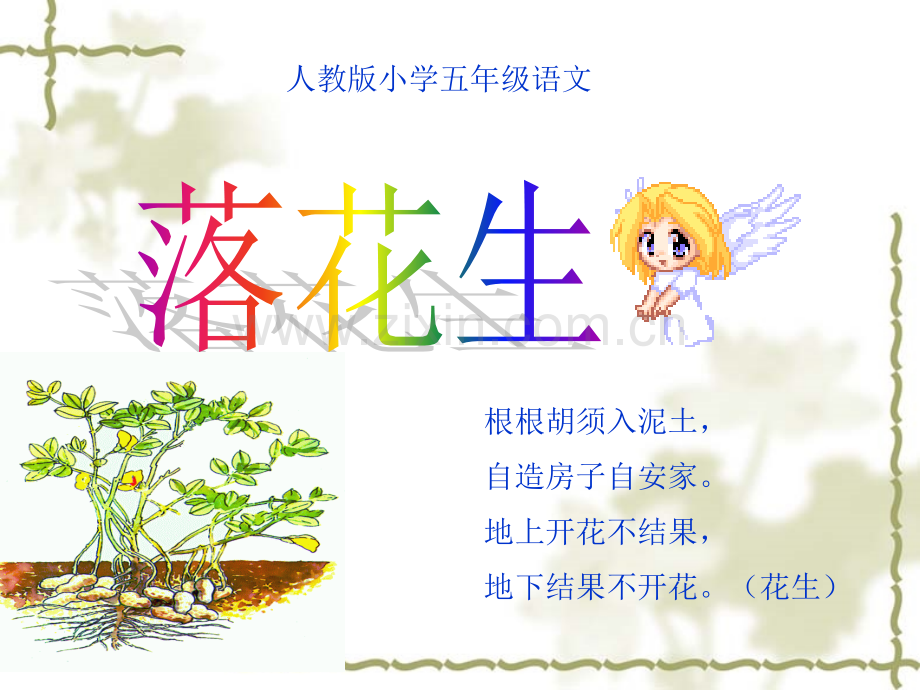 人教版落花生教学2013919.pptx_第1页