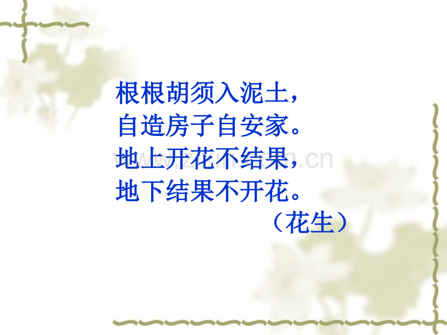人教版落花生教学2013919.pptx_第2页