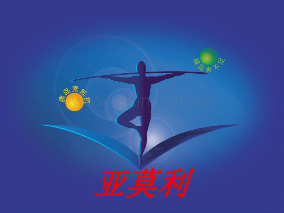 亚莫利晋南巡讲.pptx_第1页