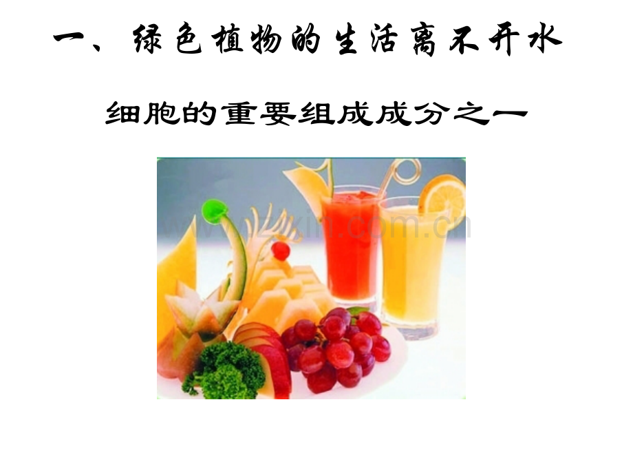 412绿色植物的生活需要水和无机盐.pptx_第2页