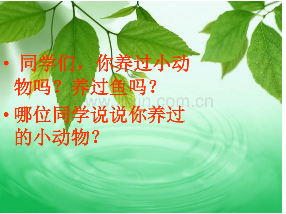 人教版二年级语文上册28浅水洼里的小鱼.pptx_第1页