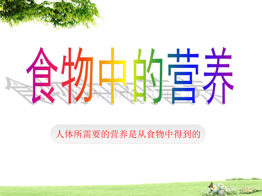 3233食物中营养营养要均衡.pptx_第1页