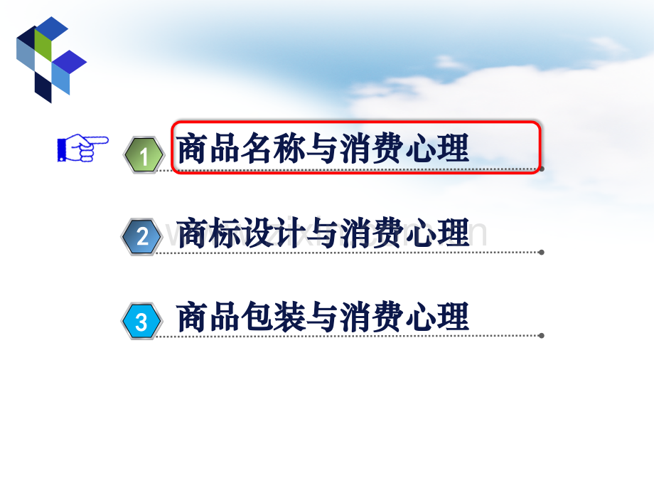 产品命名设计包装的消费心理分析.pptx_第2页