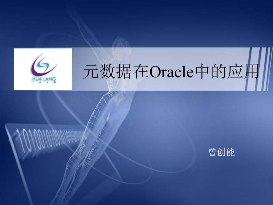 元数据在Oracle中的应用.pptx_第1页