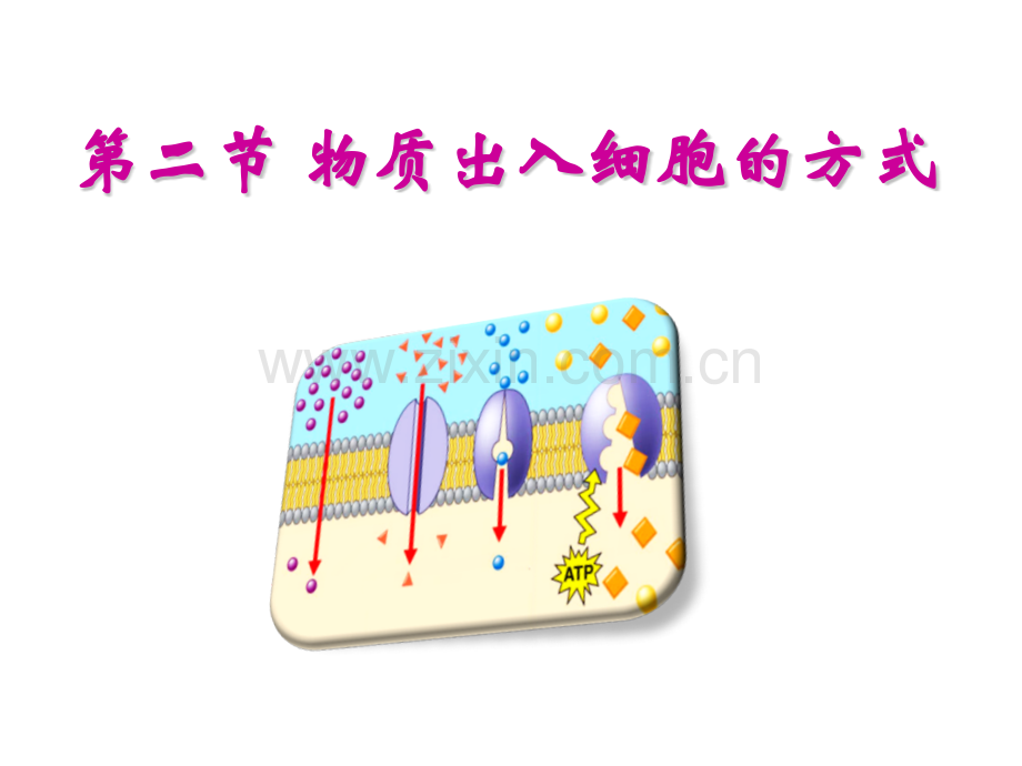 32物质出入细胞的方式.pptx_第1页