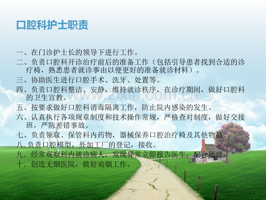 修复基础培训.pptx_第2页