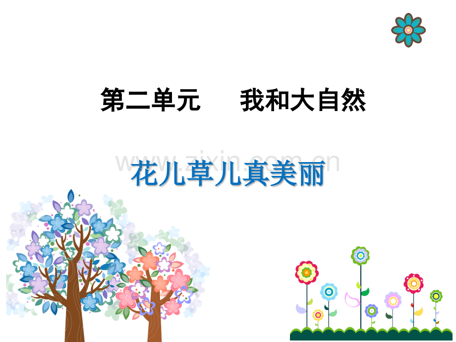 6花儿草儿真美丽.pptx_第1页