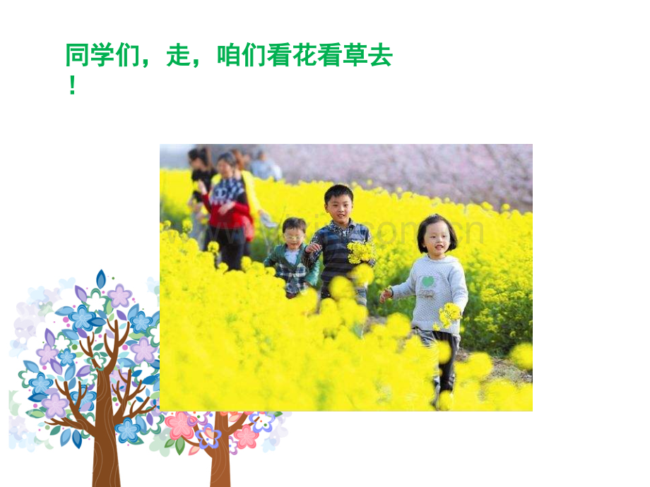 6花儿草儿真美丽.pptx_第2页