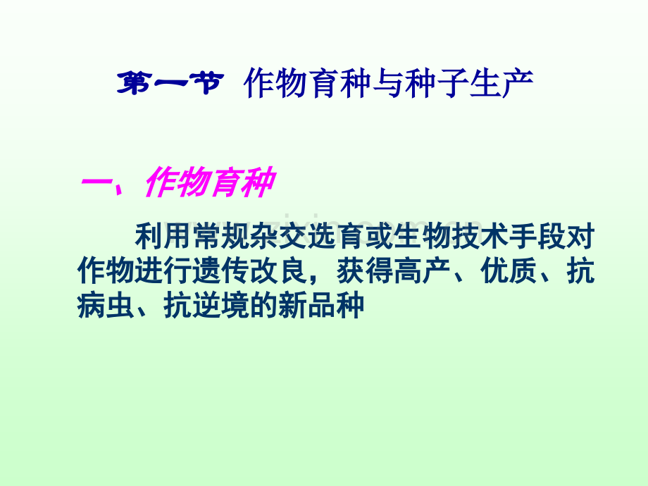 农学概论种子工程汇总.pptx_第2页