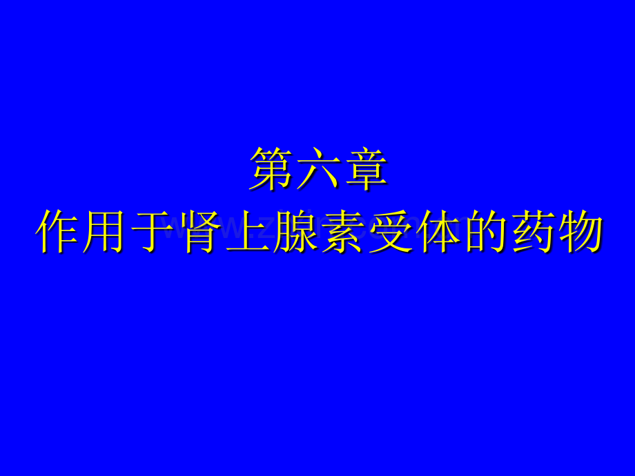 作用于肾上腺素受体的药物讲述.pptx_第1页