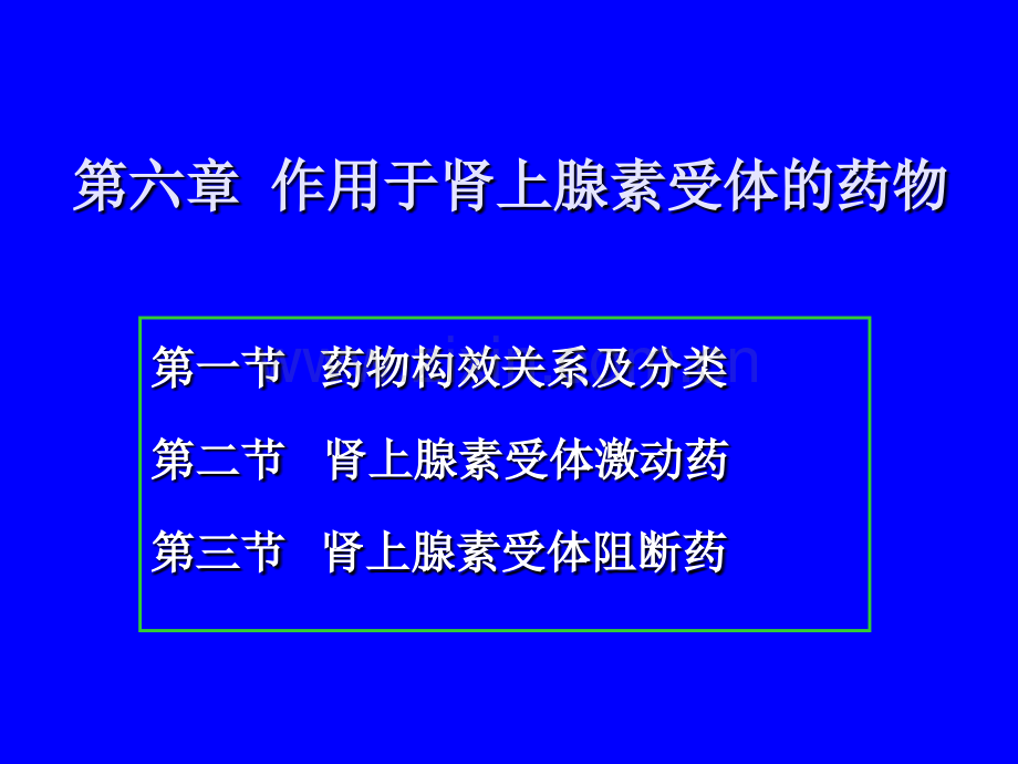 作用于肾上腺素受体的药物讲述.pptx_第2页