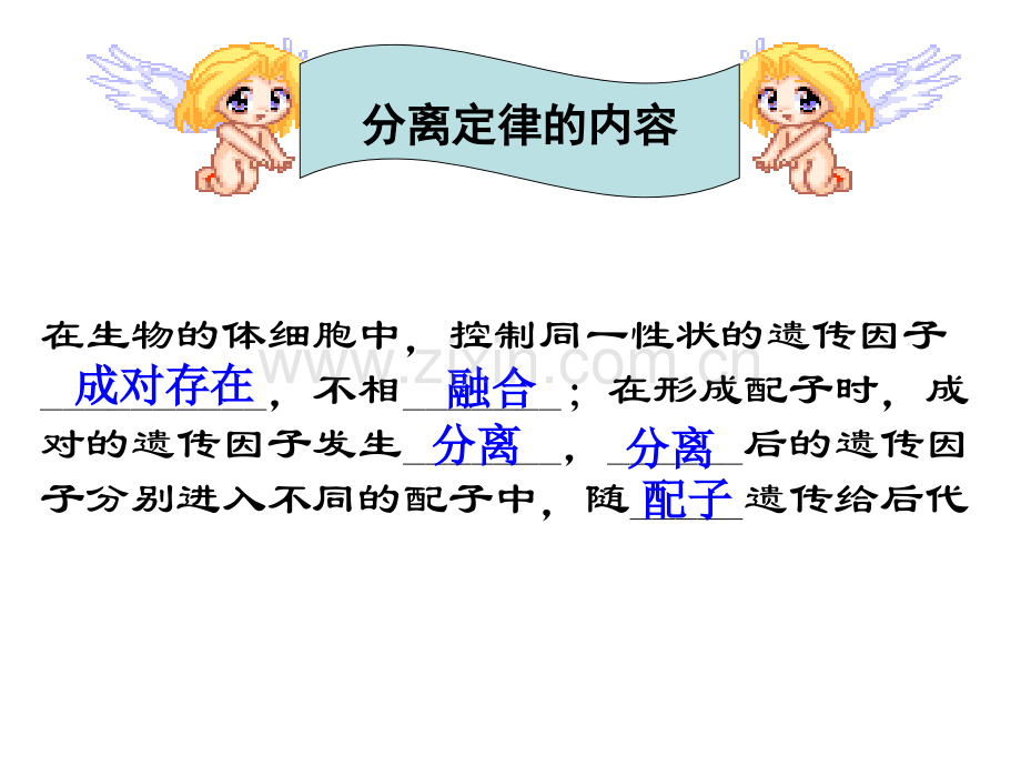 人教版教学广东省生物科复习分离定律的应用.pptx_第2页