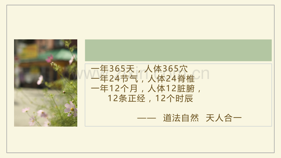 中医文化源流.pptx_第2页