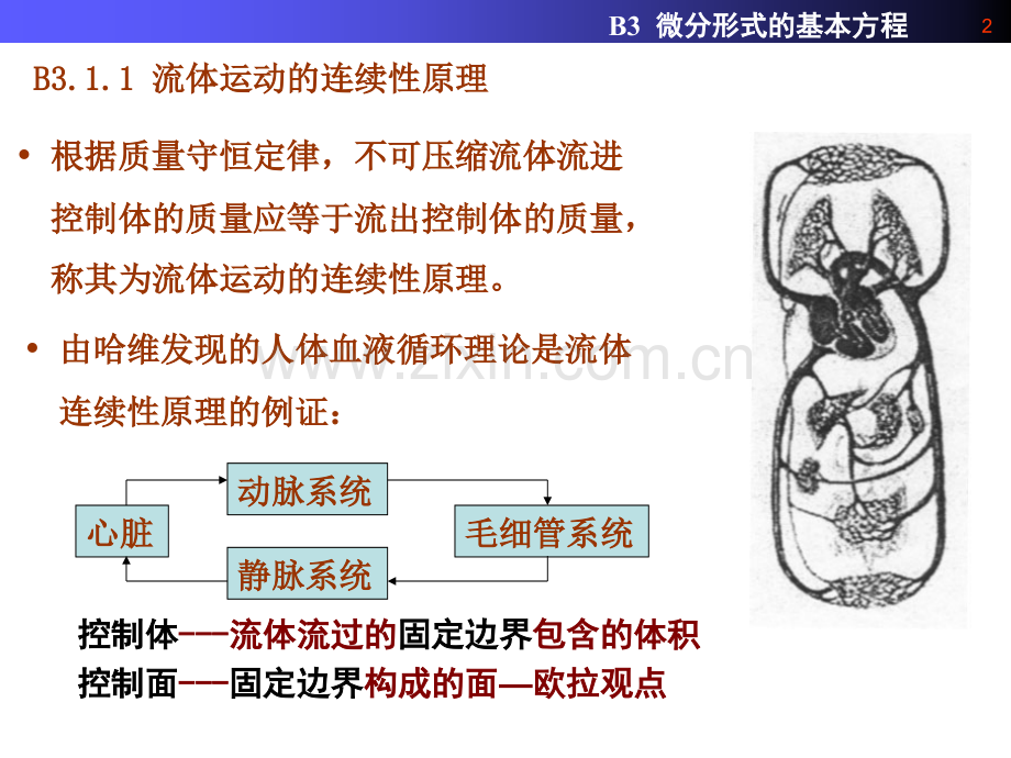 B3微分形式的基本方程解析.pptx_第2页