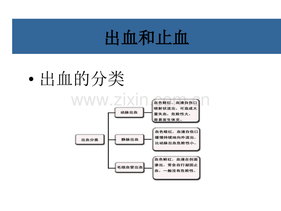 一般损伤的自救与互救.pptx_第2页