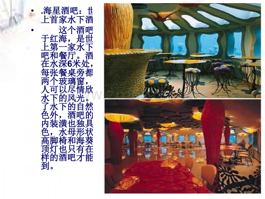 全球十大特色酒吧.pptx_第2页