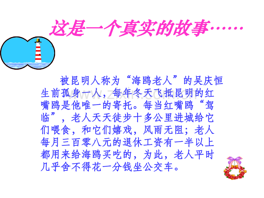 ke老人与海鸥.pptx_第1页