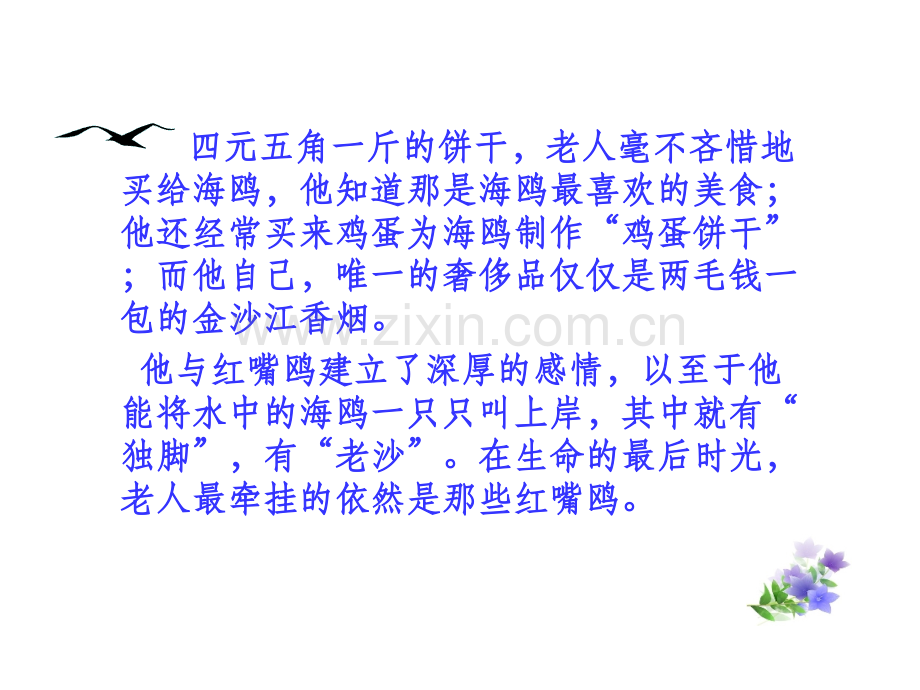 ke老人与海鸥.pptx_第2页