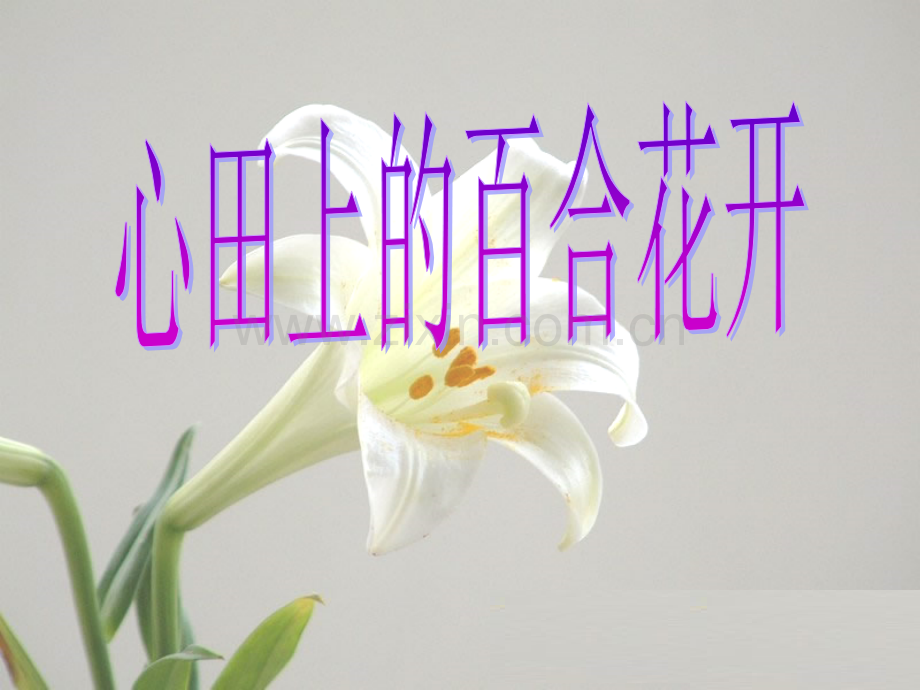30心田上的.pptx_第1页