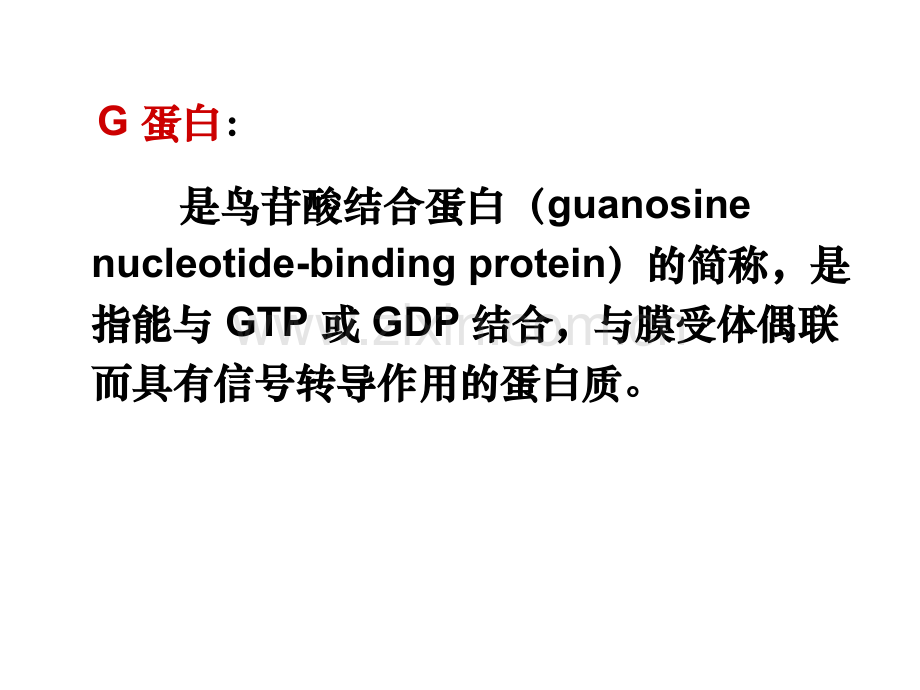 G蛋白与信号转导.pptx_第2页