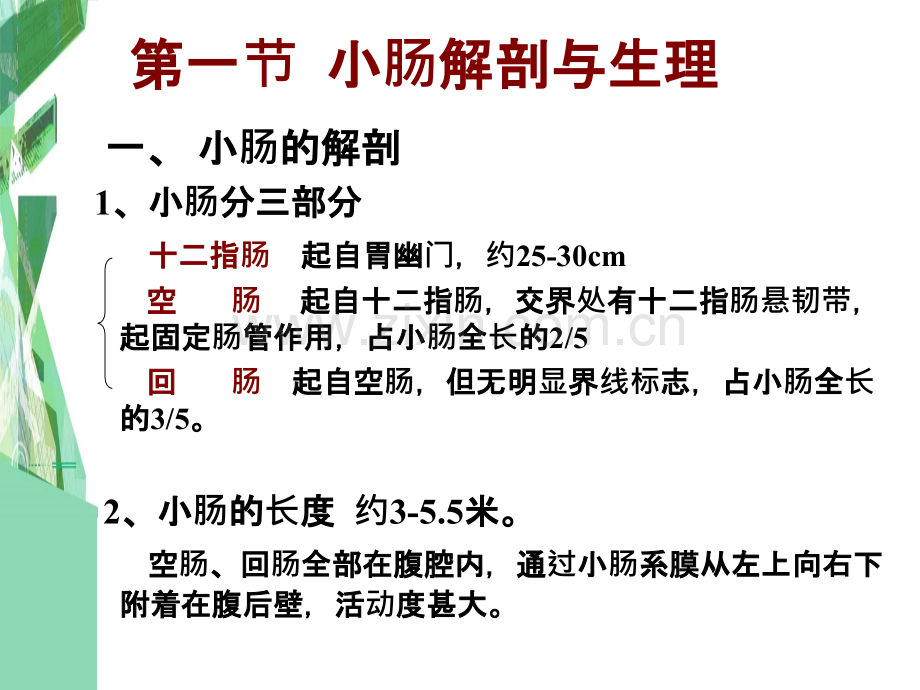 35章小肠疾病.pptx_第2页