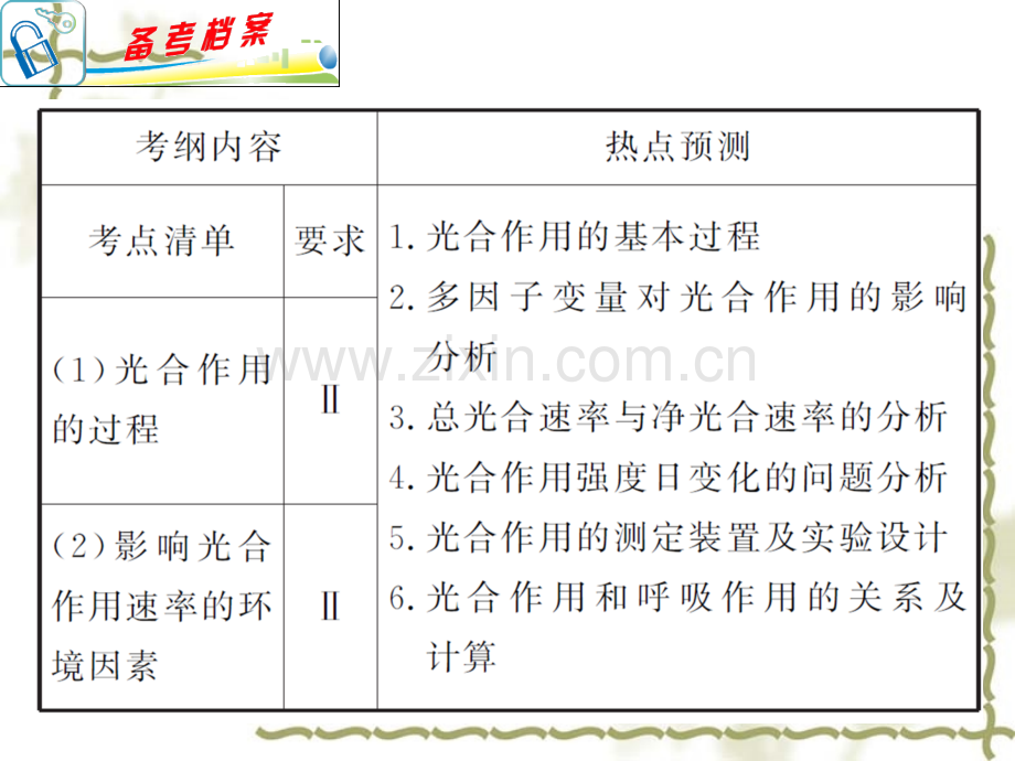 专题2-小专题5-光合作用的基本原理及应用人教版.pptx_第2页